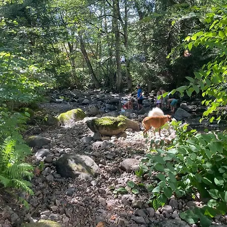 샬레 Terrain Cloture, Bien Place, 2