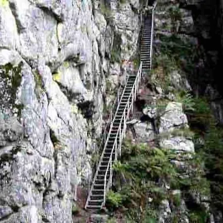 Terrain Cloture, Bien Place, 2 종루프 롱지메르