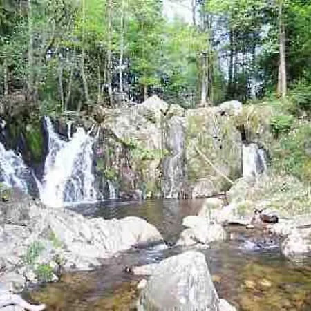 샬레 Terrain Cloture, Bien Place, 2 *