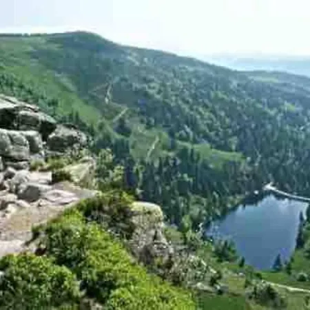 Terrain Cloture, Bien Place, 2 종루프 롱지메르