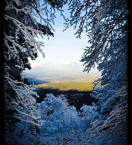 Terrain Cloture, Bien Place, 2 * Xonrupt-Longemer