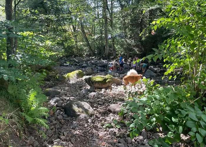 Chalet Terrain Cloture, Bien Place, 2