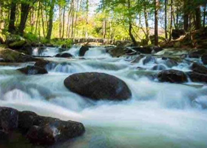 Terrain Cloture, Bien Place, 2 Chalet *