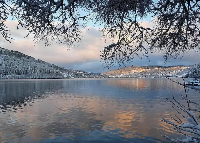 Terrain Cloture, Bien Place, 2 *