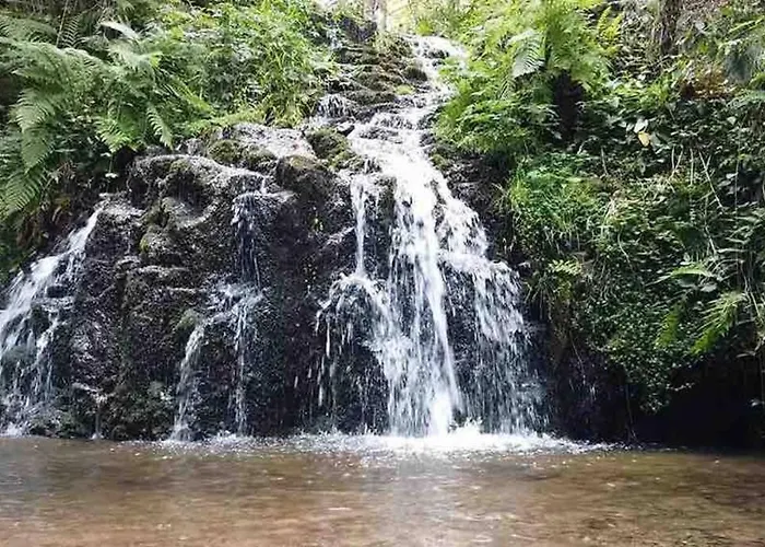 Chalet Terrain Cloture, Bien Place, 2