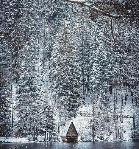 Terrain Cloture, Bien Place, 2