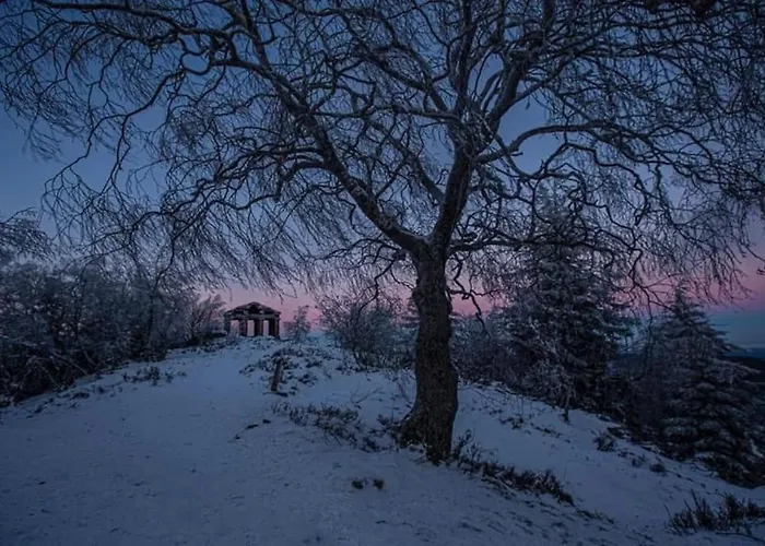 Terrain Cloture, Bien Place, 2 *