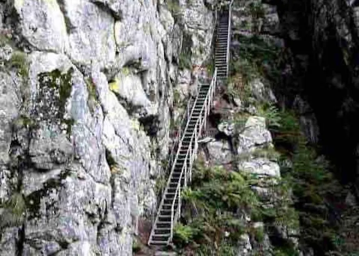 Terrain Cloture, Bien Place, 2 Xonrupt-Longemer