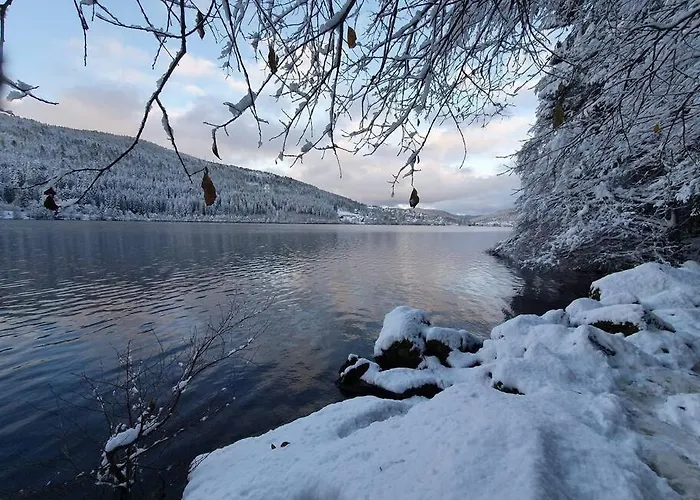 Terrain Cloture, Bien Place, 2 Chalet Xonrupt-Longemer