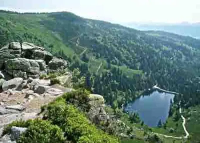 Terrain Cloture, Bien Place, 2 Xonrupt-Longemer