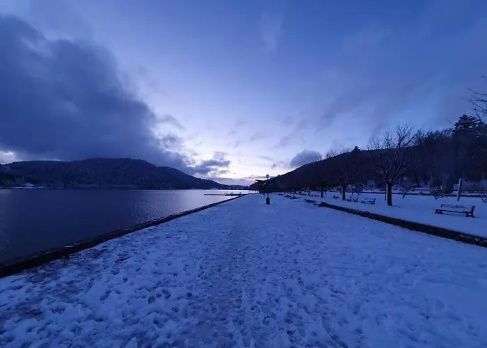 Terrain Cloture, Bien Place, 2