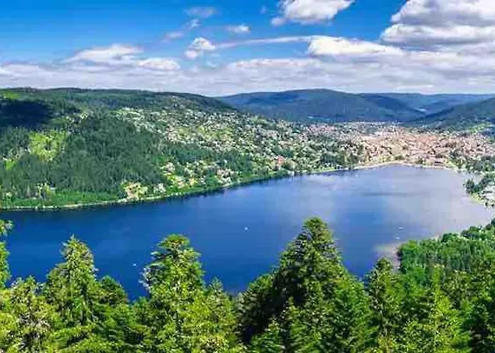 Chalet Terrain Cloture, Bien Place, 2