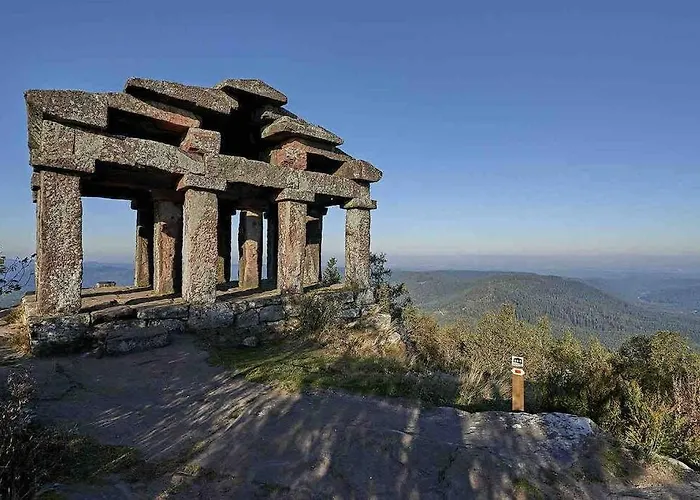 Terrain Cloture, Bien Place, 2