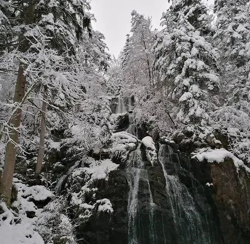 Terrain Cloture, Bien Place, 2 Chalet Xonrupt-Longemer