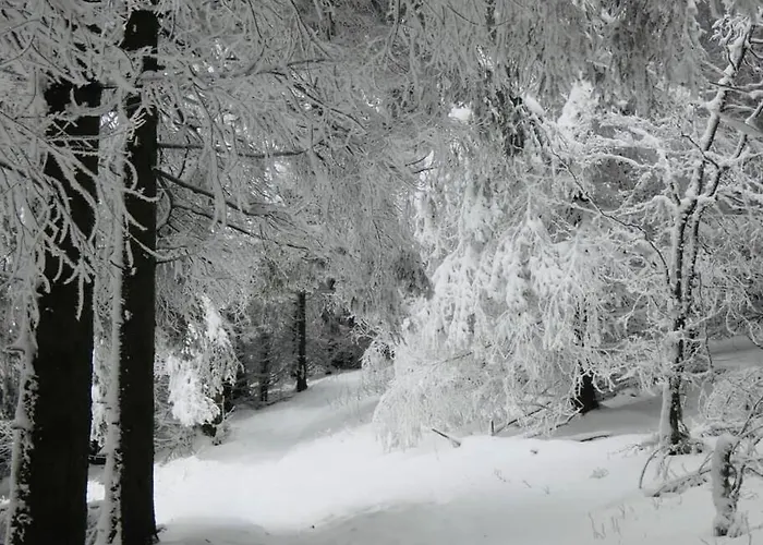 Terrain Cloture, Bien Place, 2 *